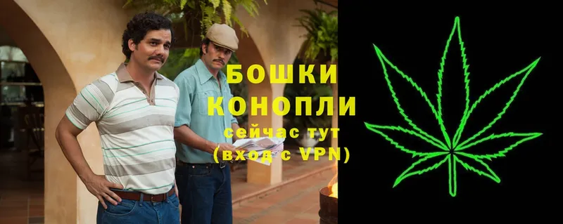 как найти   Баймак  Шишки марихуана THC 21% 